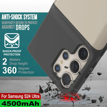 Charger l'image dans la galerie, Étui de batterie PunkJuice S24 Ultra Silver - Banque de jus de charge portable avec 4500 mAh